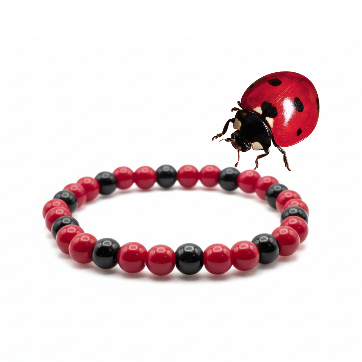 Little Ladybug red and black glass bead bracelet displayed with a real ladybug